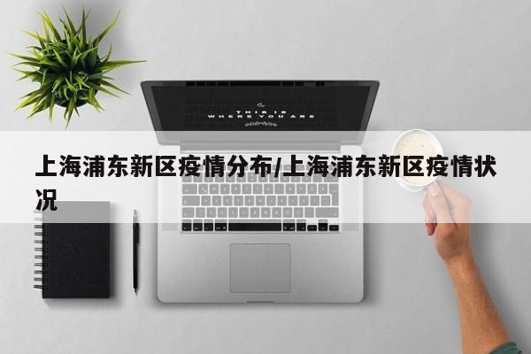 上海浦东新区疫情分布/上海浦东新区疫情状况