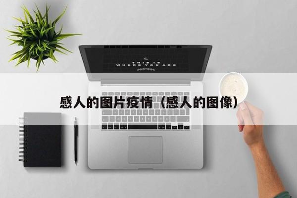 感人的图片疫情（感人的图像）