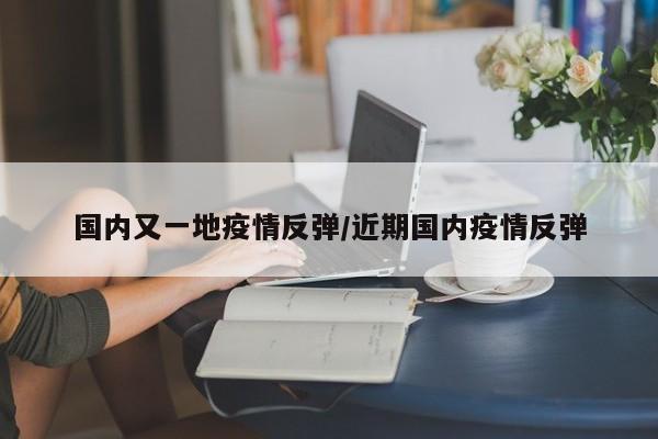 国内又一地疫情反弹/近期国内疫情反弹