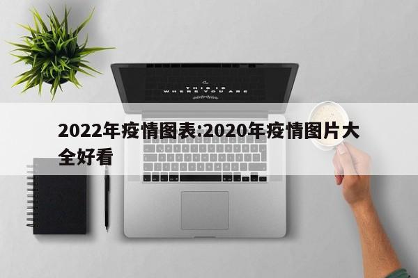 2022年疫情图表:2020年疫情图片大全好看