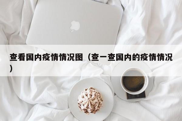 查看国内疫情情况图（查一查国内的疫情情况）