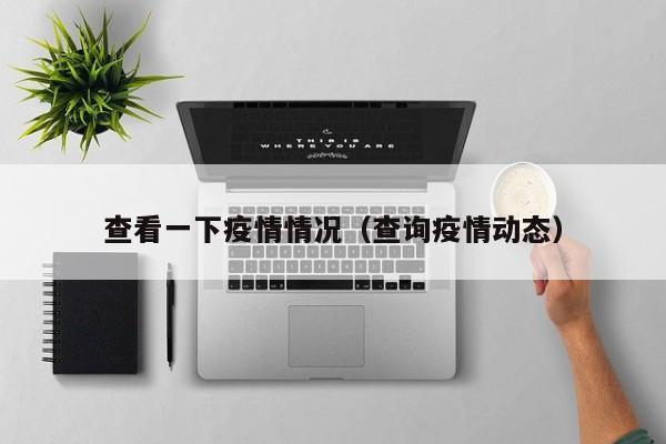 查看一下疫情情况（查询疫情动态）