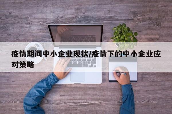 疫情期间中小企业现状/疫情下的中小企业应对策略